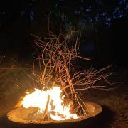 Կենարար Սոճի 