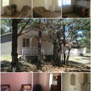 Կենարար Սոճի 