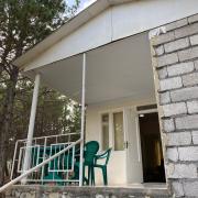 Կենարար Սոճի 