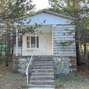 Կենարար Սոճի 