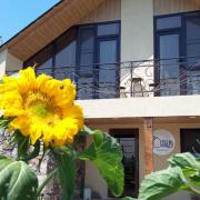 Շենլիկ հյուրատուն