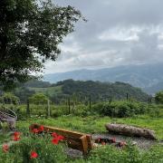 Շենլիկ հյուրատուն