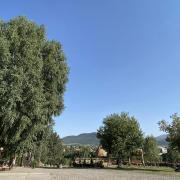 Սոճի ռեզորտ