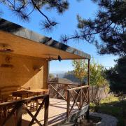 Սոճի ռեզորտ