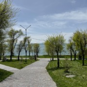 Դրախտիկա