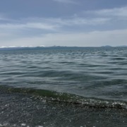 Դրախտիկա